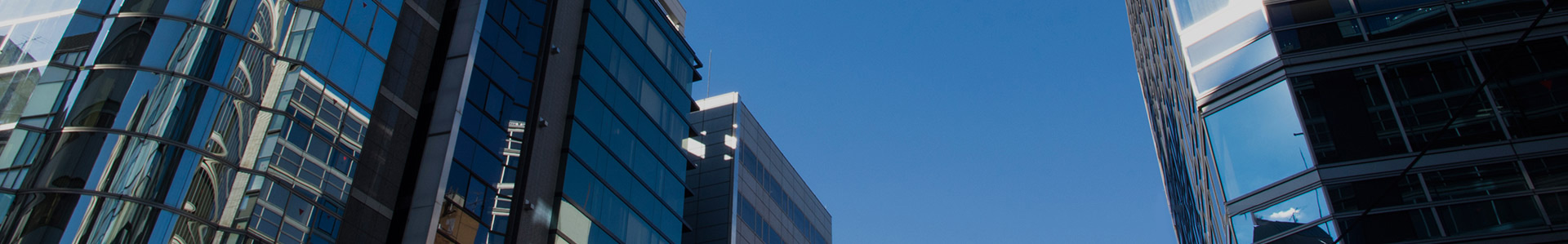 联系草莓视频APP官网